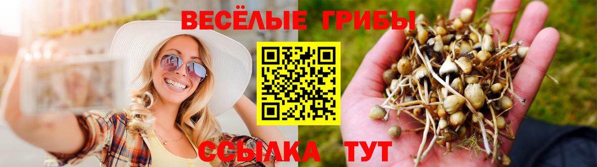 Псилоцибиновые грибы ЛСД Тавда