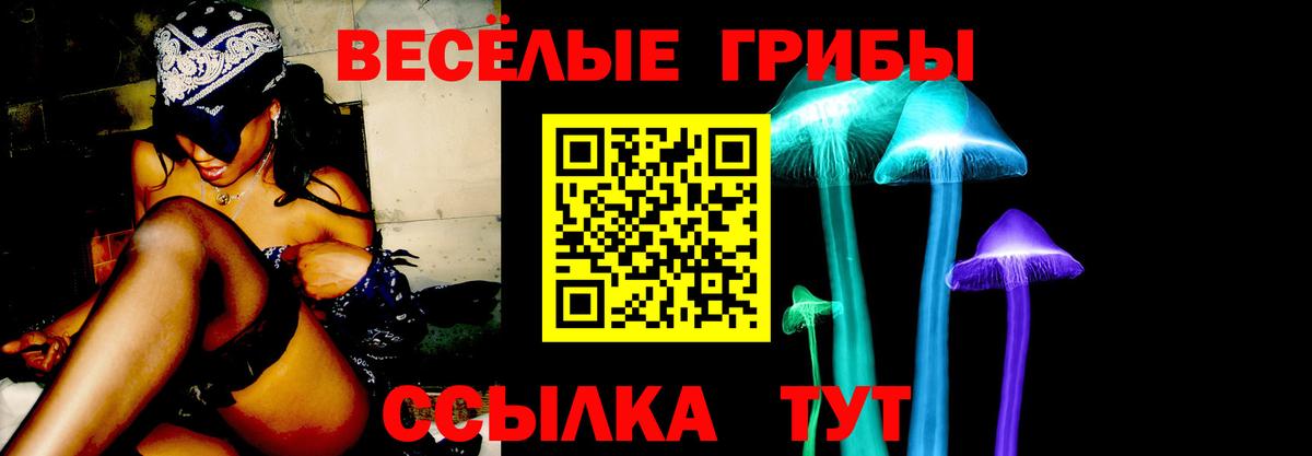 Тавда  Псилоцибиновые грибы ЛСД  Вход с VPN 